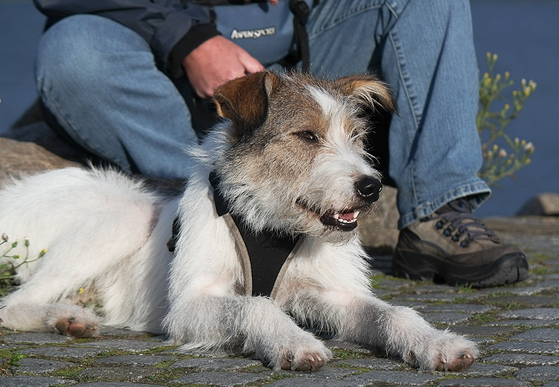 007 20130915_00220130915_Felix Mecklenburgische Seenplatte SAM_4281 als Smartobjekt-1 Kopie.jpg